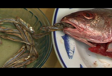 still image from a short film fish